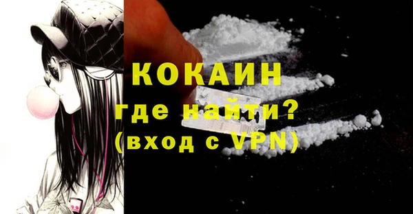 шишки Абаза