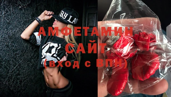 шишки Абаза