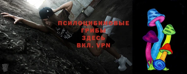 шишки Абаза