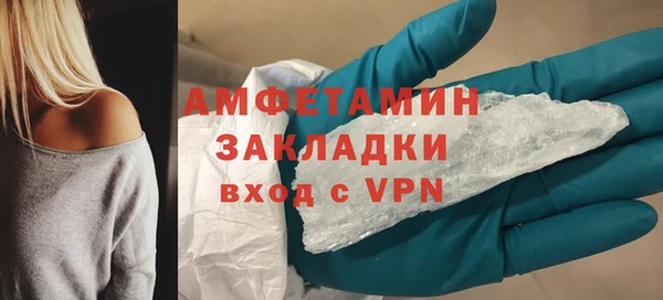 шишки Абаза