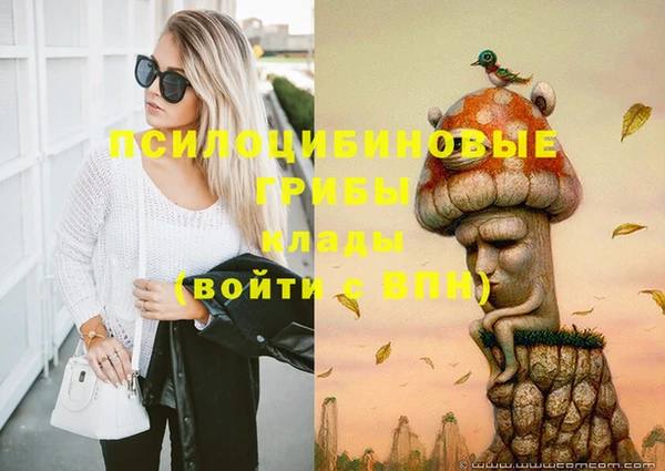 прущие крисы Абинск