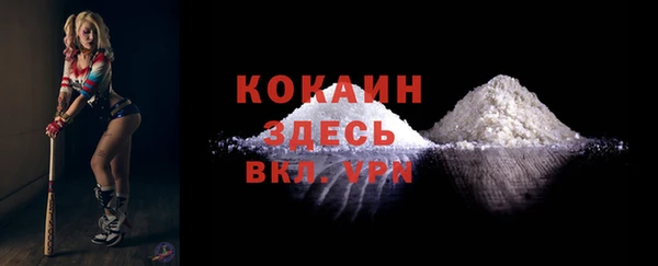 шишки Абаза