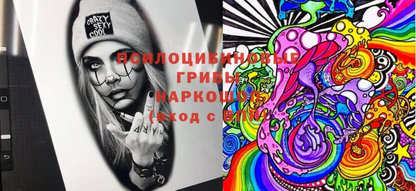 шишки Абаза