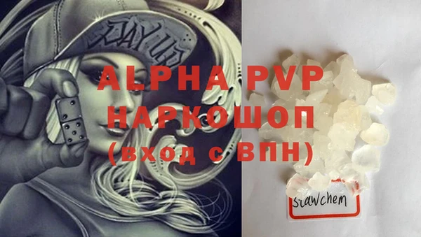 шишки Абаза