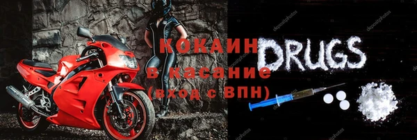 шишки Абаза