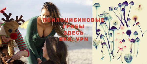 прущие крисы Абинск