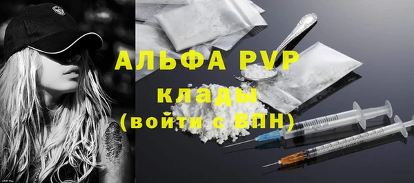 шишки Абаза