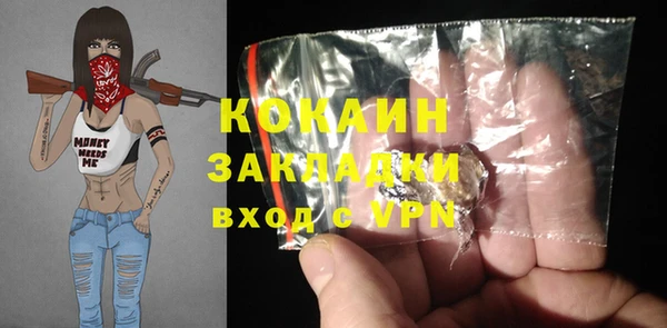 шишки Абаза